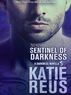 cover image of Sentinel of Darkness